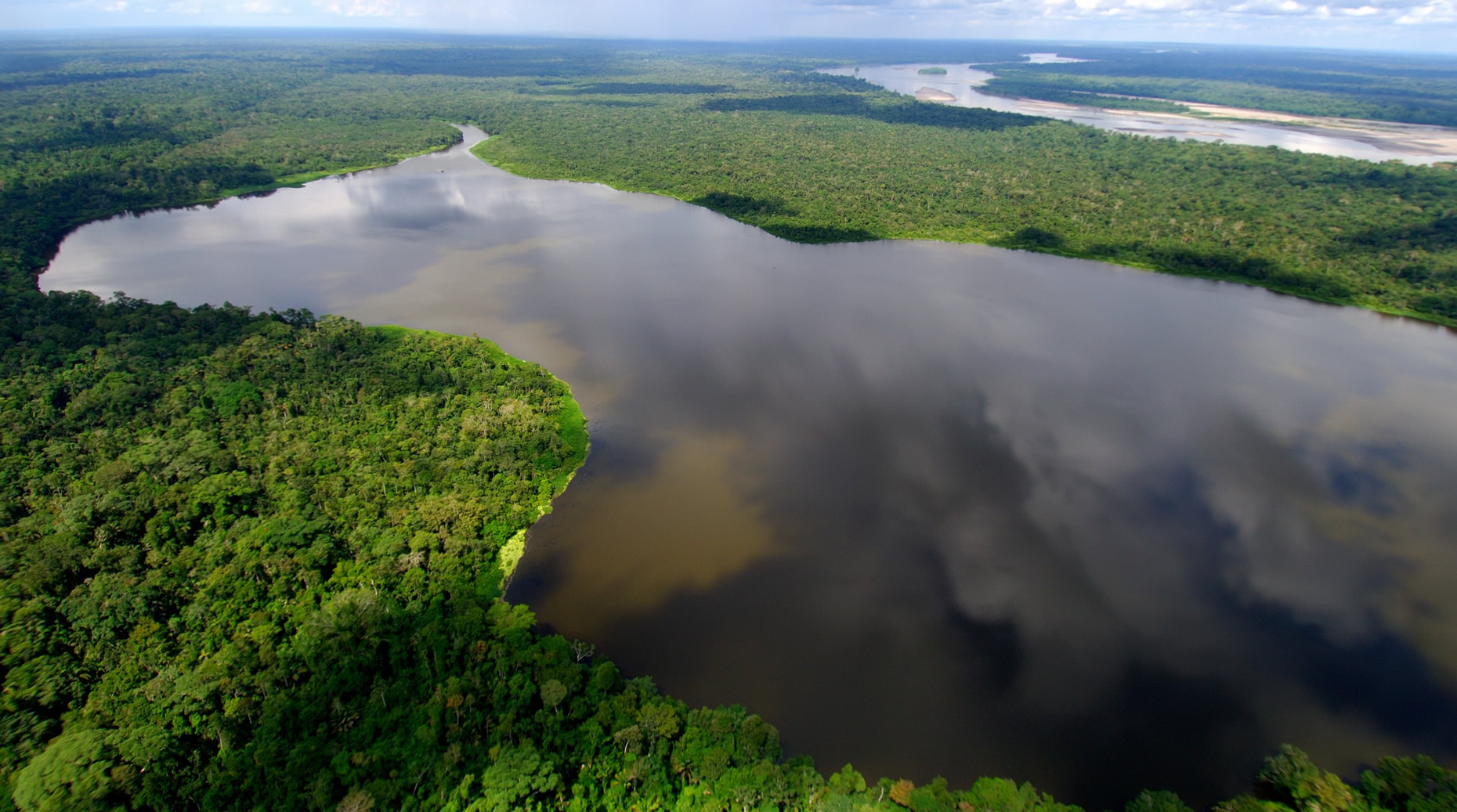 Quiz ambiental / Questões