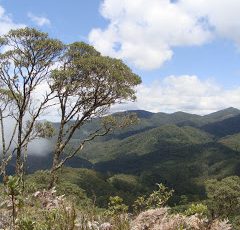 Meio Ambiente Brasil