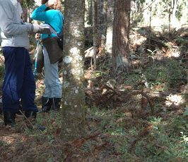 Cursos de Meio Ambiente