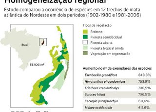 Homogeneização Regional