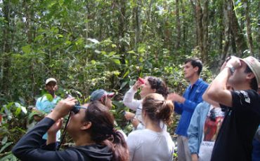 Observação da Mata