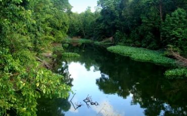 Mata Atlantica Hotspots