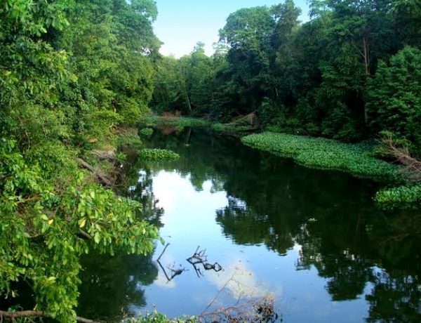 Mata Atlantica Hotspots