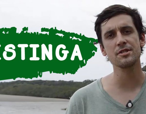 Vegetação de Restinga