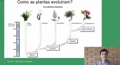 Nomenclatura Botânica