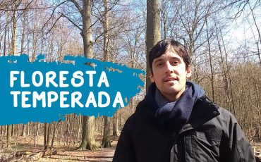 Floresta Temperada Europa