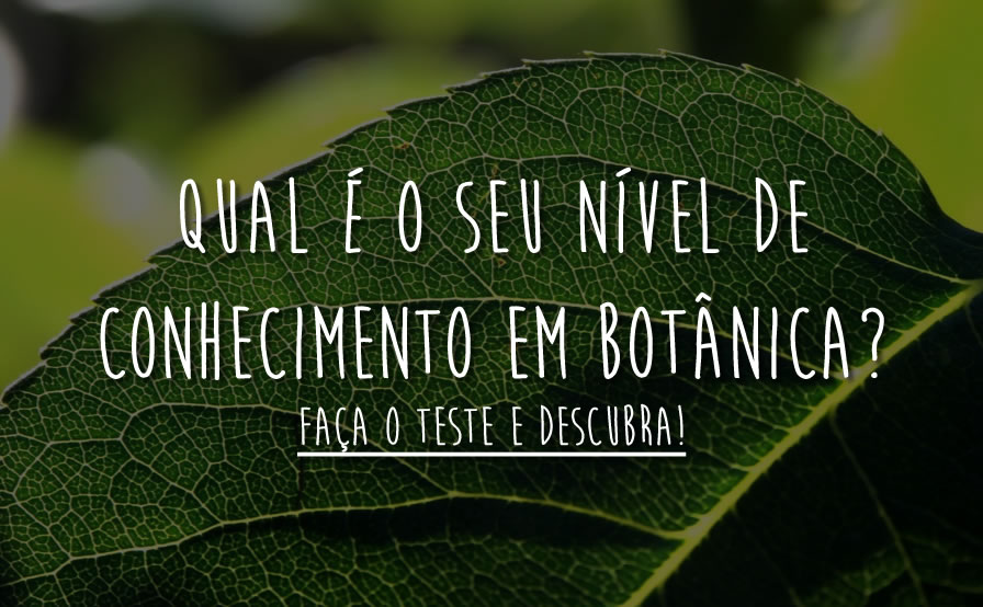 QUIZ DE CONHECIMENTOS GERAIS #6