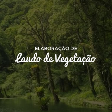 Elaboração de Laudo de Vegetação