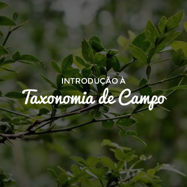 Curso Introdução à Taxonomia de Campo