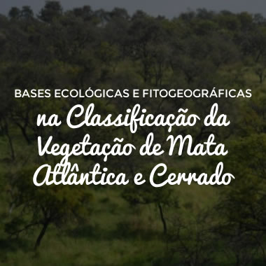 Bases Ecológicas