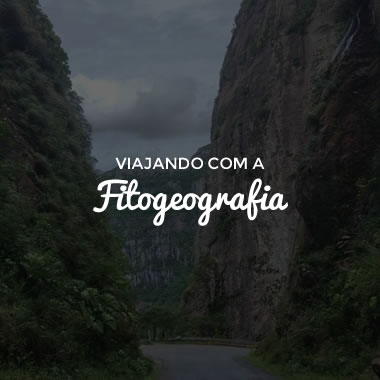 Viajando com a Fitogeografia