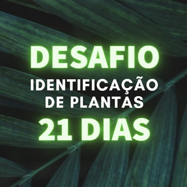 Desafio aprenda identificação em 21 dias